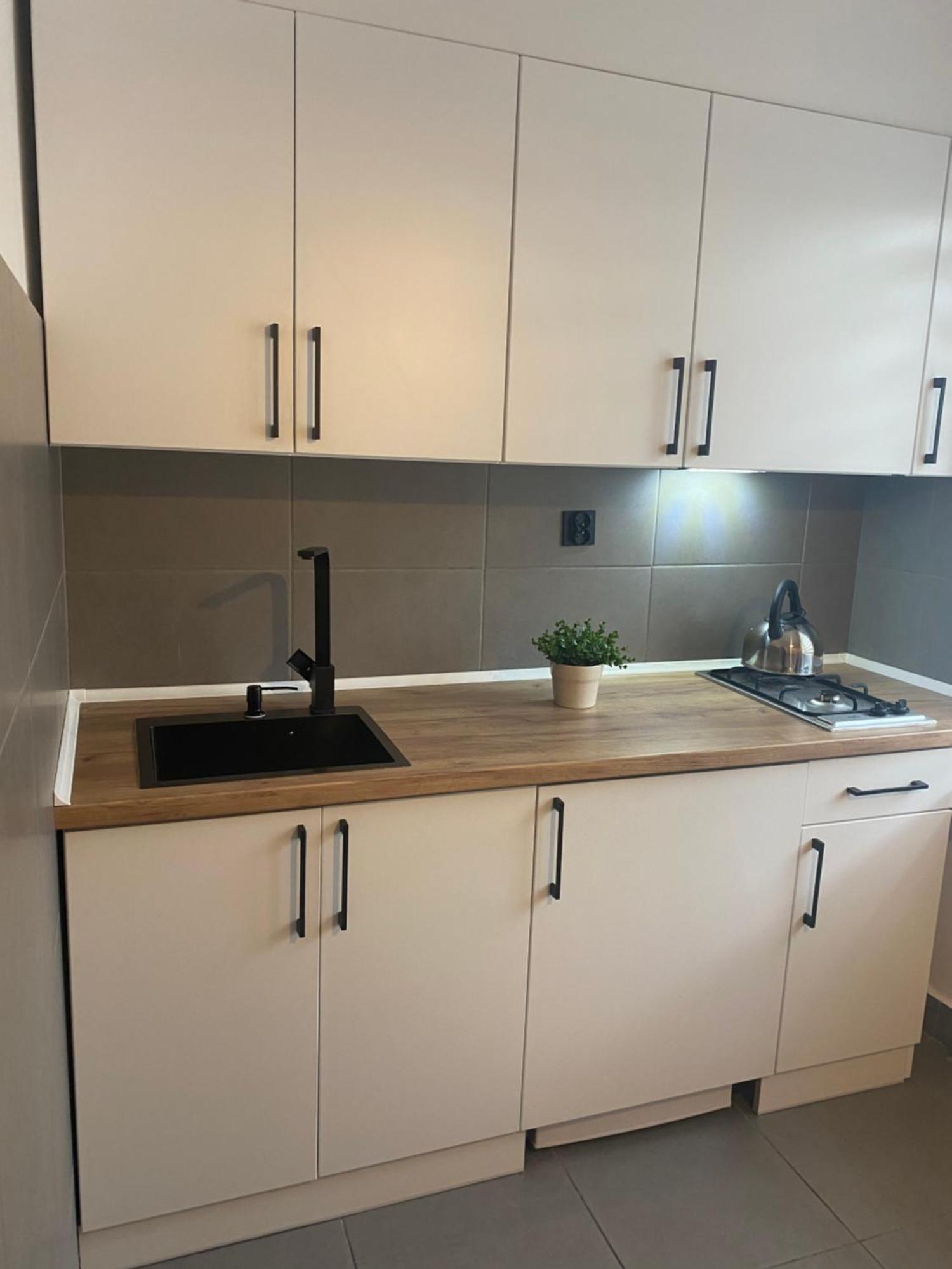 זקופאנה Apartamenty Sloneczna Chata מראה חיצוני תמונה